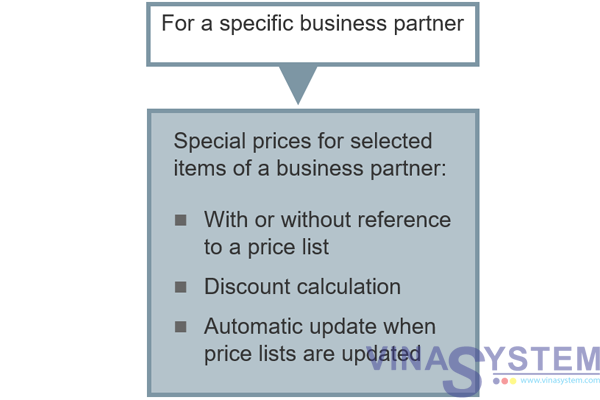Special Prices for Business Partners in SAP Business One - Overview