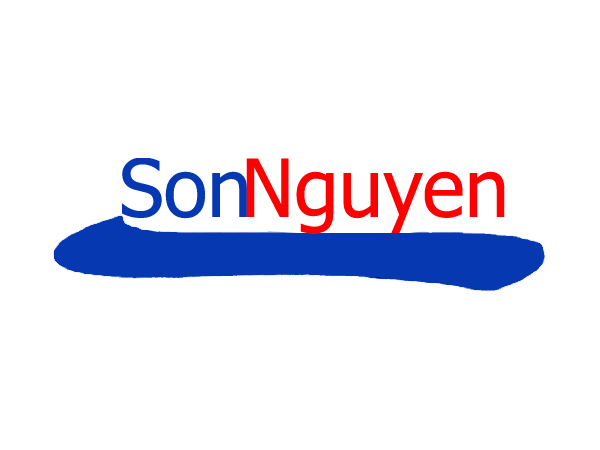 Vina System implementation SAP Business One for SonNguyen Auto
