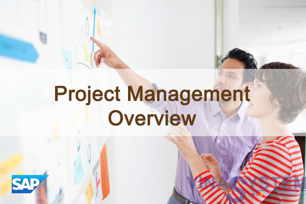 Tài liệu quản lý dự án trong SAP Business One - Project Management Overview