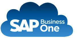SAP Business One on cloud 