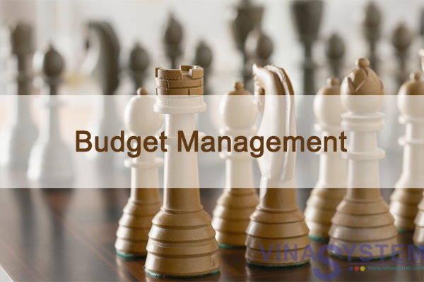 Budget Management in SAP Business One