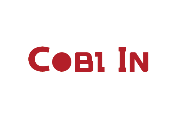 Vina System has implemented ERP - SAP Business One for COBI IN Co., Ltd.