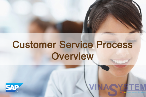 Customer Service Process in SAP Business One - Customer Service Process Overview