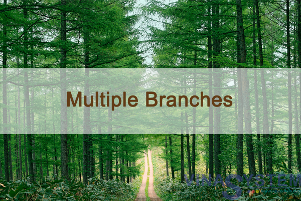 Multiple Branches in SAP Business One