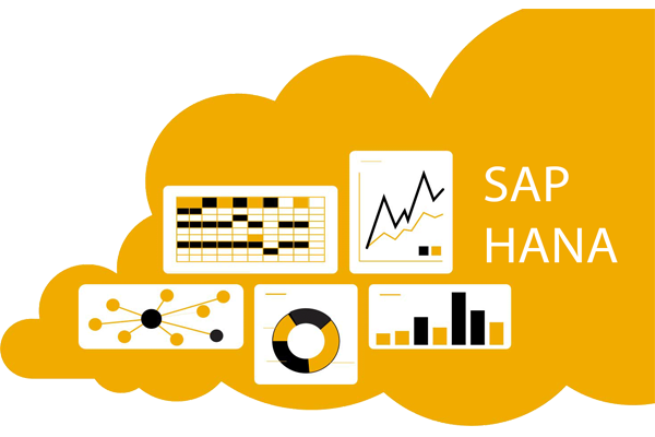 What is SAP HANA?